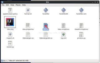 軟件開(kāi)發(fā)的多維視角