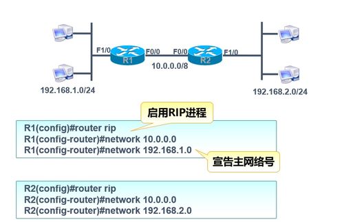 2021年12月 網絡工程 動態路由rip